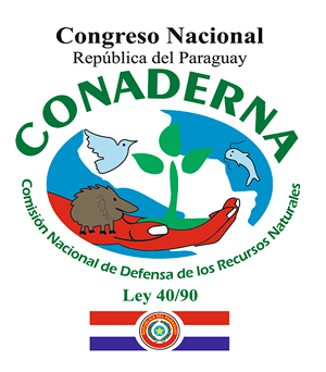 Disertación II Congreso Paraguayo de Ingeniería Ambiental y Desarrollo Sostenible 